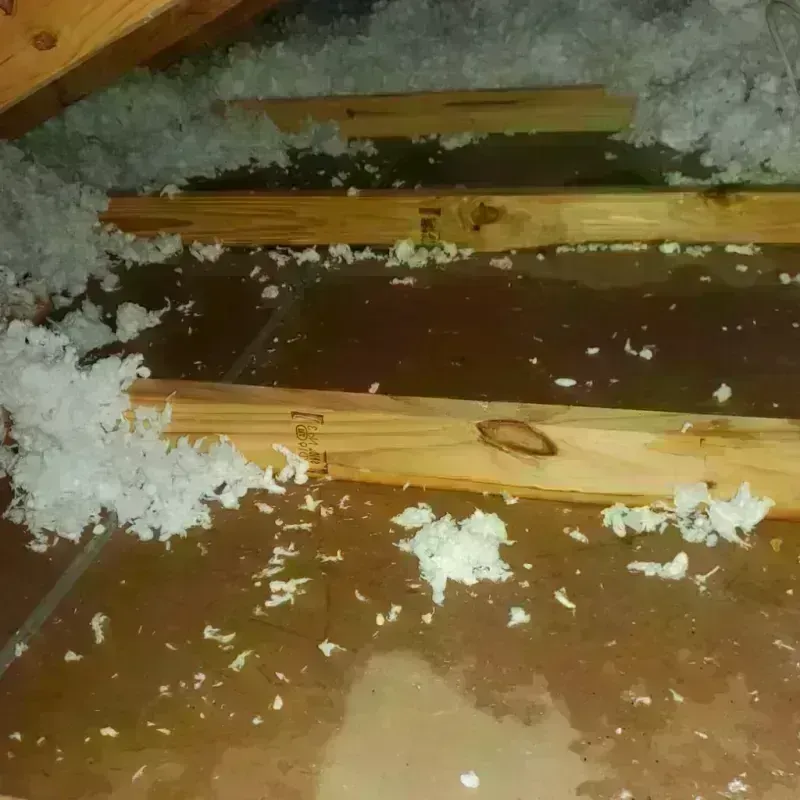 Attic Water Damage in Baudette, MN