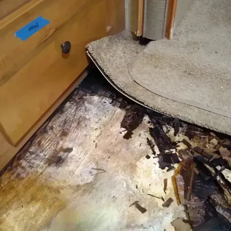 Wood Floor Water Damage in Baudette, MN